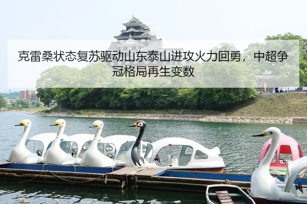ke-lei-sang-zhuang-tai-fu-su-qu-dong-shan-dong-tai-shan-jin-gong-huo-li-hui-yong-zhong-chao-zheng-guan-ge-ju-zai-sheng-3-654.jpg