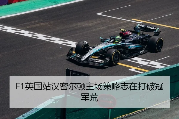 ying-guo-zhan-han-mi-er-dun-zhu-chang-ce-lve-zhi-zai-da-po-guan-jun-huang-2-485.jpg