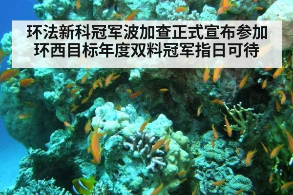 环法新科冠军波加查正式宣布参加环西目标年度双料冠军指日可待